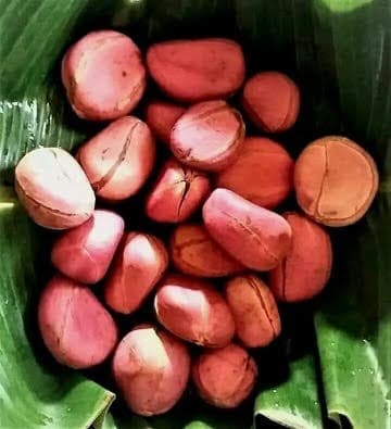 Kola Nut